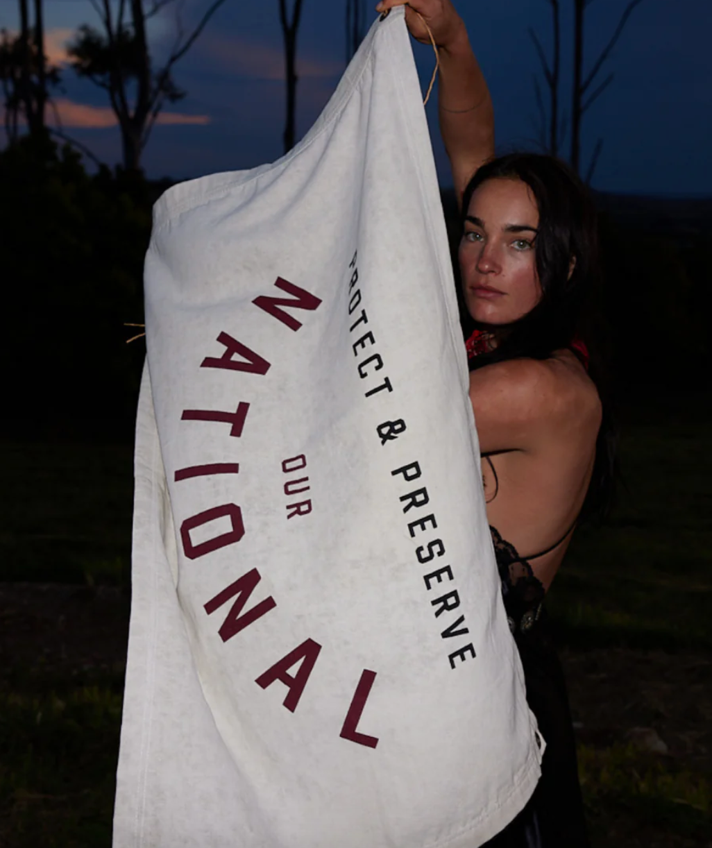 Pony Rider Our National Wall Banner 90x60