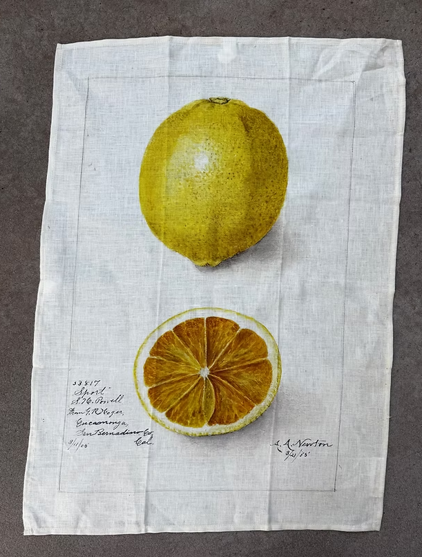 Barbara O'Donovan Tea Towels