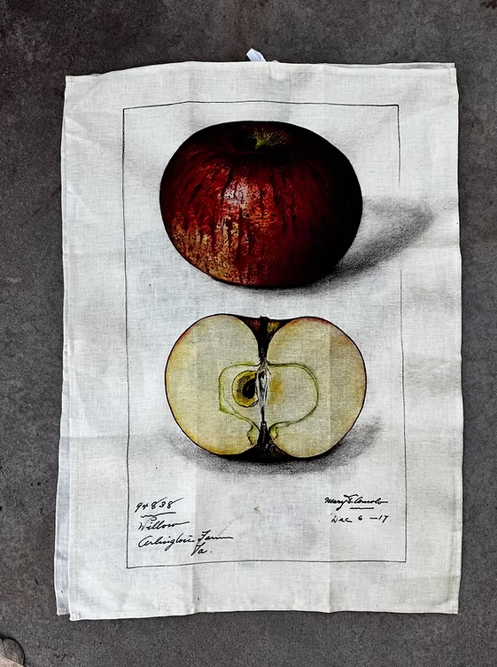Barbara O'Donovan Tea Towels