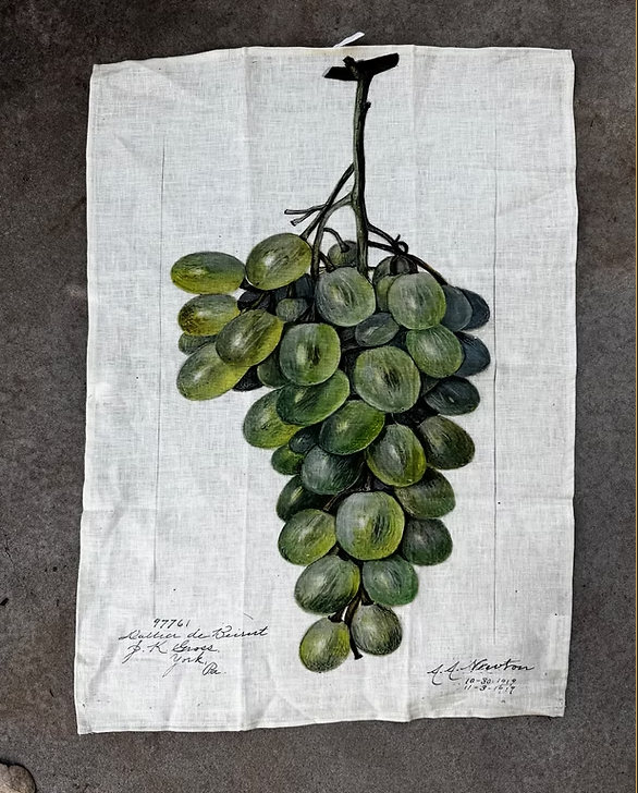 Barbara O'Donovan Tea Towels