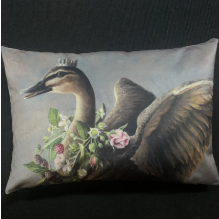 Anita Mertzlin - Velvet Rectangular Cushions