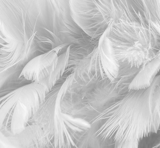Inner Green Feather Cushion Inserts