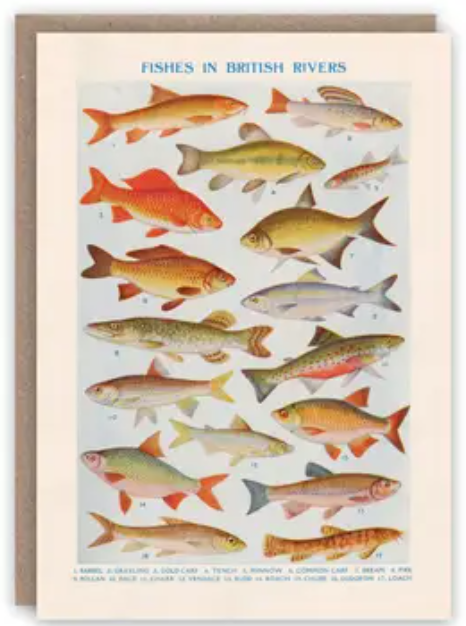 Pattern Book Greeting Cards