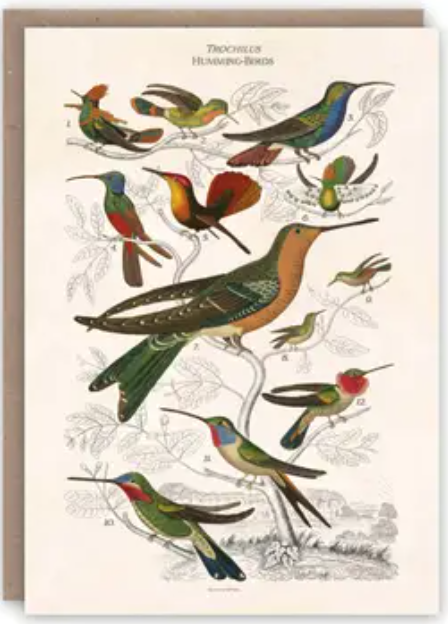 Pattern Book Greeting Cards