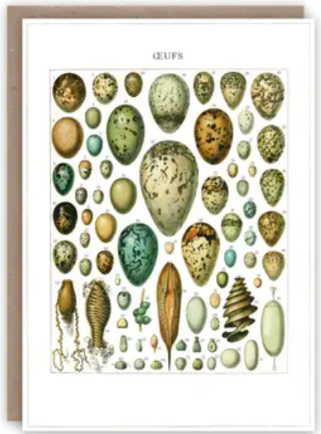 Pattern Book Greeting Cards