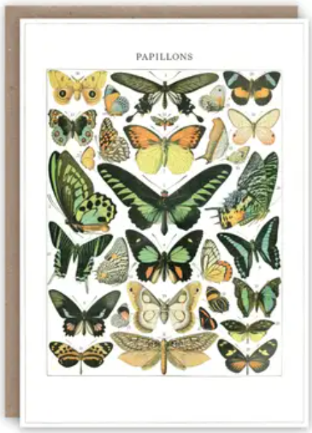 Pattern Book Greeting Cards