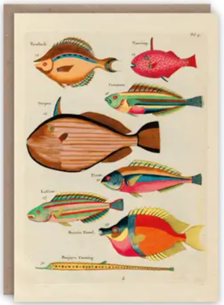 Pattern Book Greeting Cards