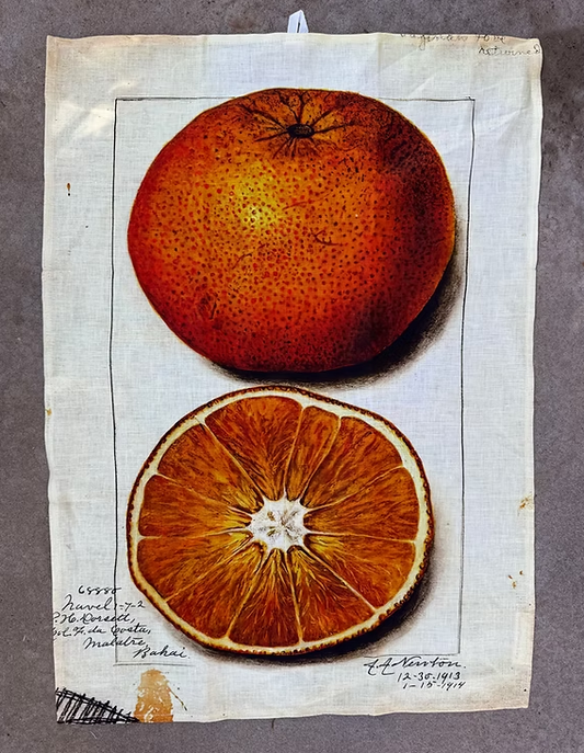 Barbara O'Donovan Tea Towels