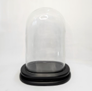 Glass Dome